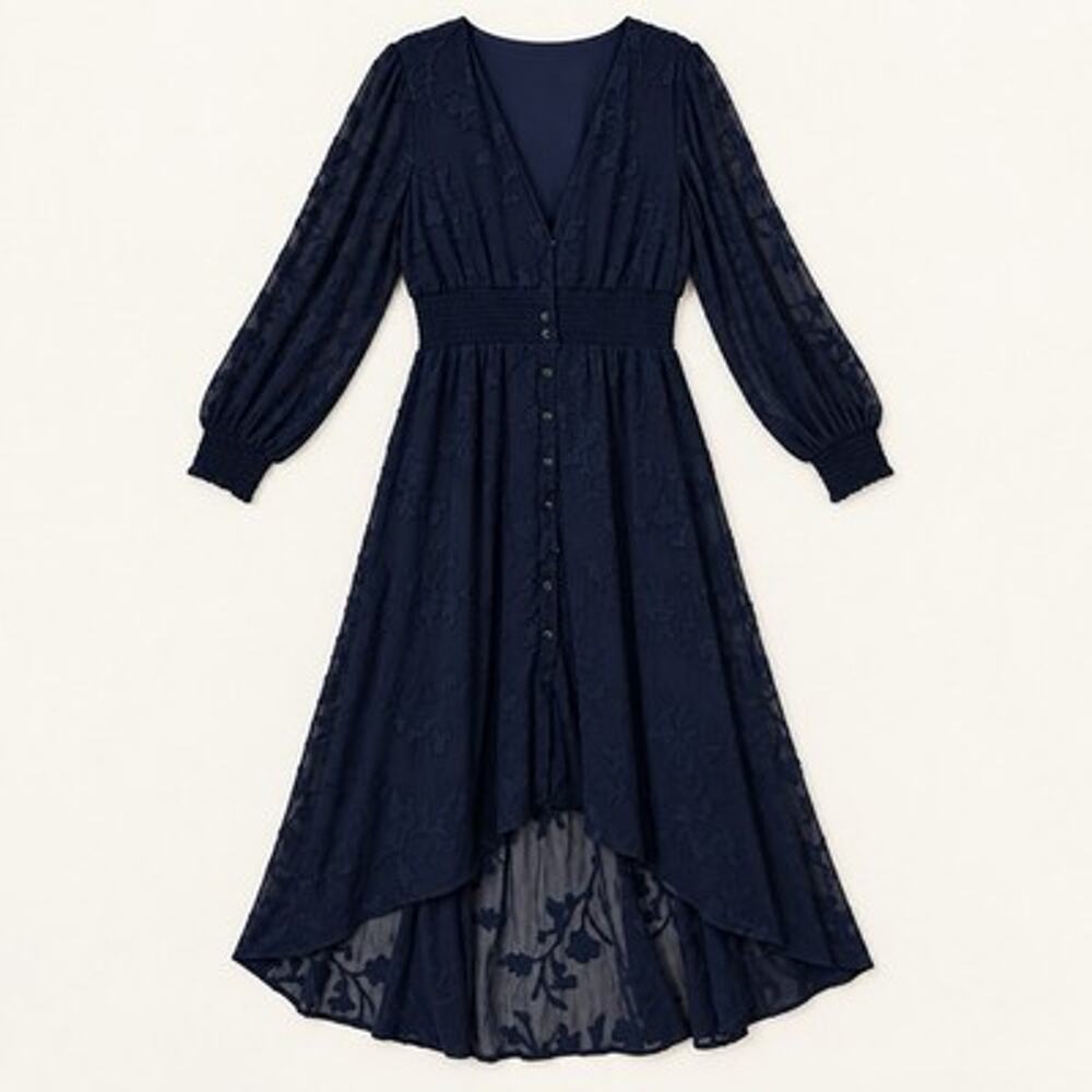 Baltic Born Mayfair Maxi Dress 1X Navy Burnout Floral Chiffon High Low Hem Event